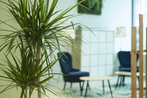 La Pousse Coworking Strasbourg Location Bureaux Bureau