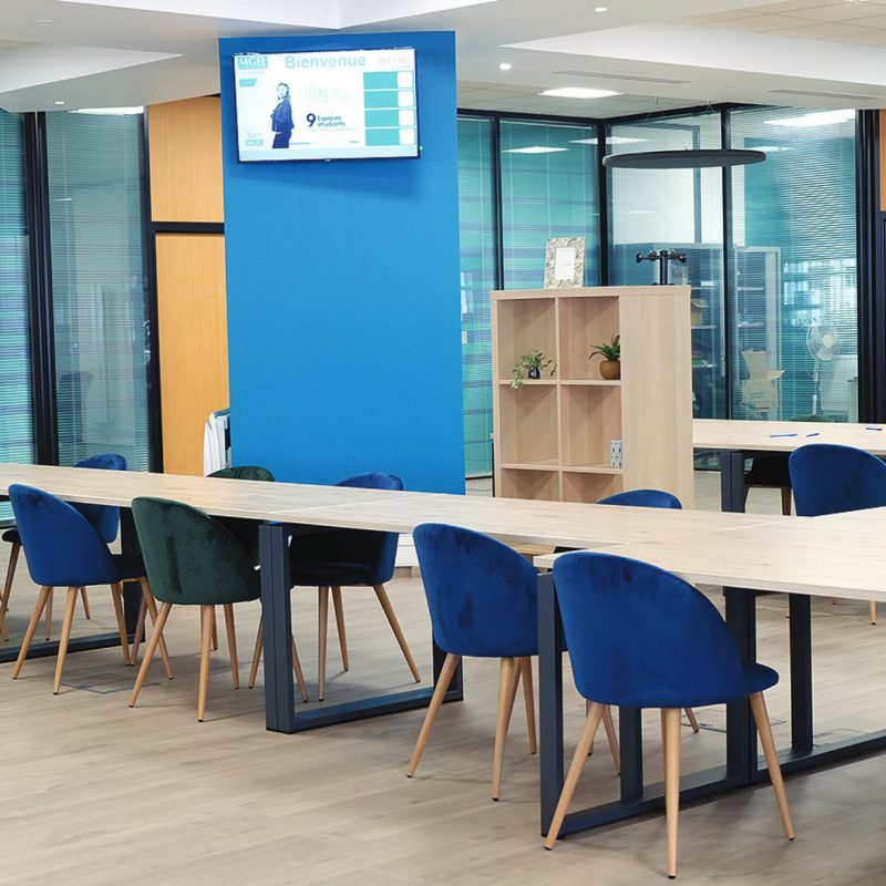 Coworking à Strasbourg : une solution pour étudiants et jeunes actifs